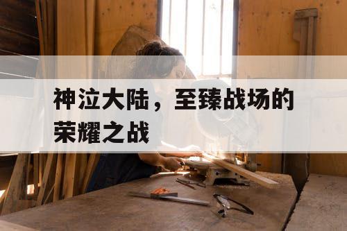 神泣大陆，至臻战场的荣耀之战