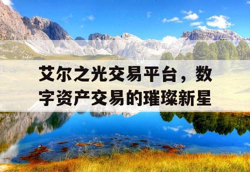 艾尔之光交易平台，数字资产交易的璀璨新星