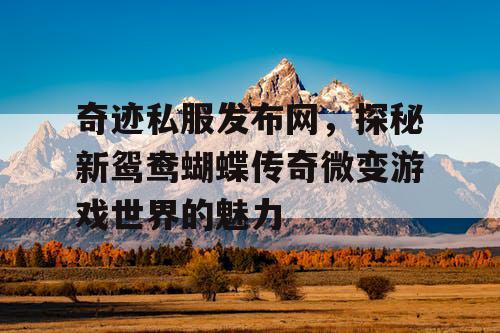 奇迹私服发布网，探秘新鸳鸯蝴蝶传奇微变游戏世界的魅力