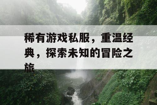 稀有游戏私服，重温经典，探索未知的冒险之旅