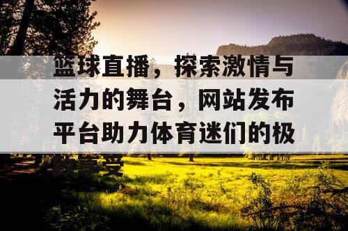 篮球直播，探索激情与活力的舞台，网站发布平台助力体育迷们的极致享受