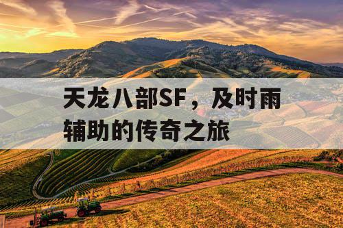 天龙八部SF，及时雨辅助的传奇之旅