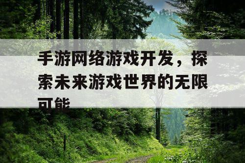 手游网络游戏开发，探索未来游戏世界的无限可能