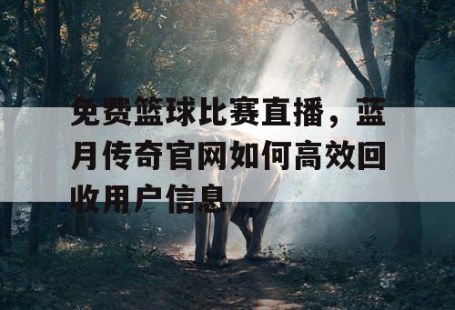 免费篮球比赛直播，蓝月传奇官网如何高效回收用户信息