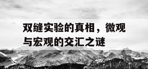 双缝实验的真相，微观与宏观的交汇之谜