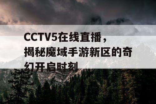 CCTV5在线直播，揭秘魔域手游新区的奇幻开启时刻