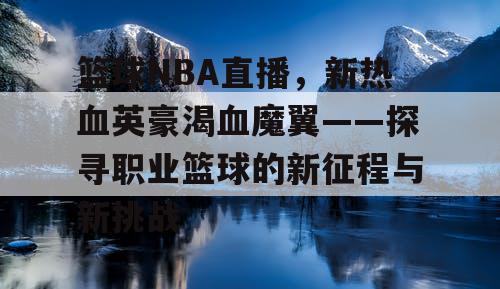 篮球NBA直播，新热血英豪渴血魔翼——探寻职业篮球的新征程与新挑战