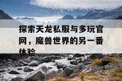探索天龙私服与多玩官网，魔兽世界的另一番体验
