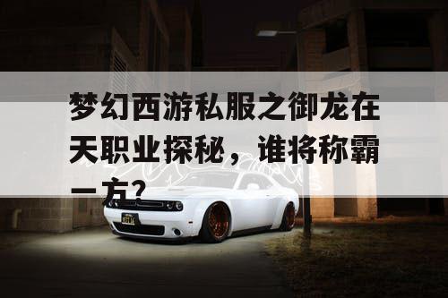 梦幻西游私服之御龙在天职业探秘，谁将称霸一方？