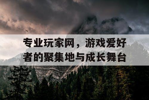 专业玩家网，游戏爱好者的聚集地与成长舞台