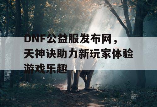 DNF公益服发布网，天神诀助力新玩家体验游戏乐趣