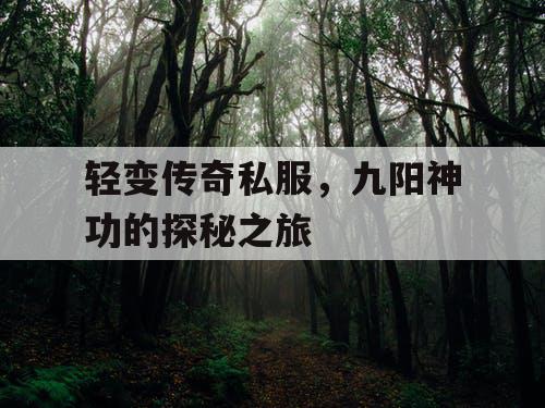 轻变传奇私服，九阳神功的探秘之旅
