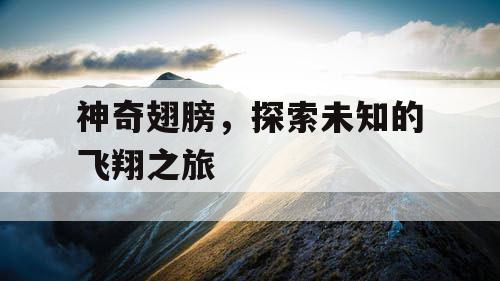神奇翅膀，探索未知的飞翔之旅