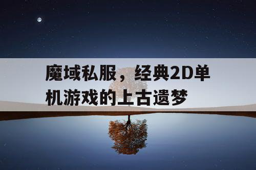 魔域私服，经典2D单机游戏的上古遗梦