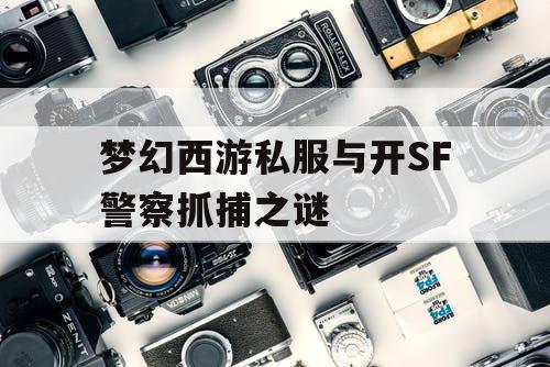 梦幻西游私服与开SF警察抓捕之谜