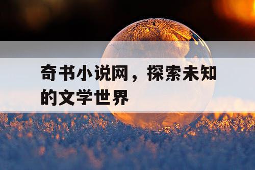 奇书小说网，探索未知的文学世界