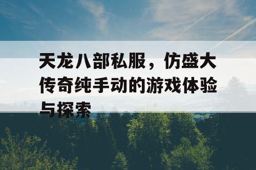 天龙八部私服，仿盛大传奇纯手动的游戏体验与探索