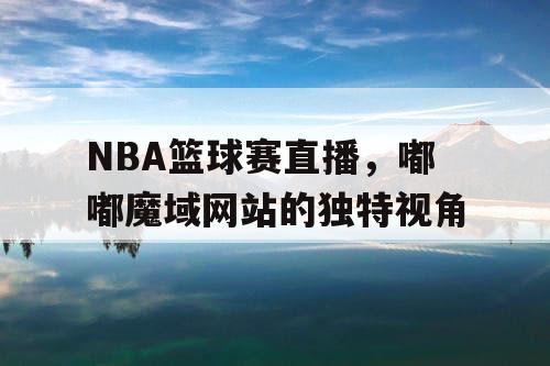 NBA篮球赛直播，嘟嘟魔域网站的独特视角