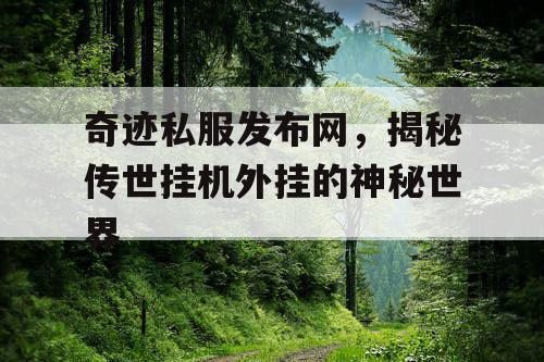 奇迹私服发布网，揭秘传世挂机外挂的神秘世界