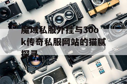 魔域私服外挂与30ok传奇私服网站的猫腻探寻