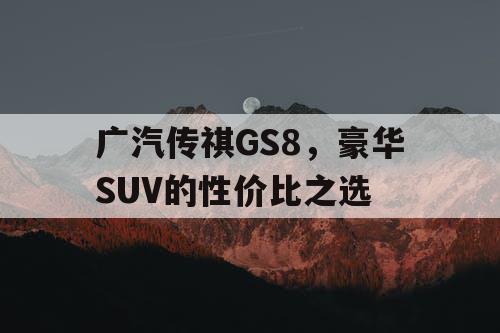 广汽传祺GS8，豪华SUV的性价比之选
