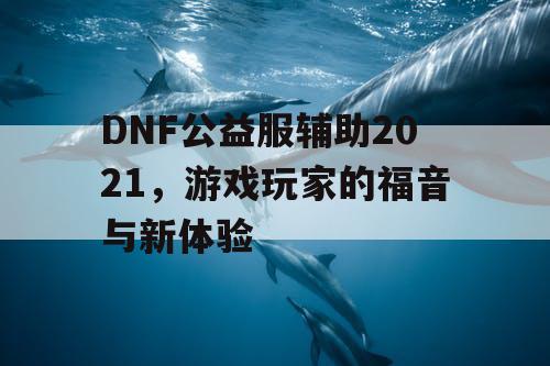 DNF公益服辅助2021，游戏玩家的福音与新体验