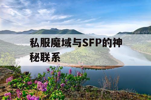 私服魔域与SFP的神秘联系