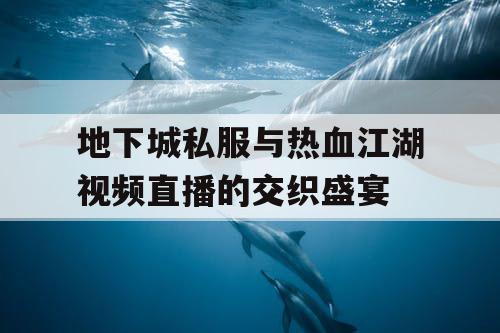 地下城私服与热血江湖视频直播的交织盛宴