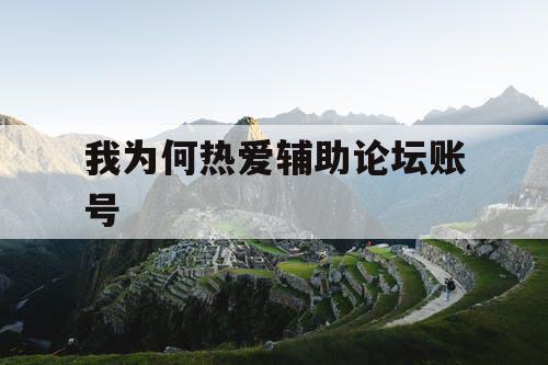 我为何热爱辅助论坛账号