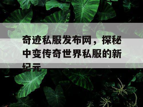 奇迹私服发布网，探秘中变传奇世界私服的新纪元