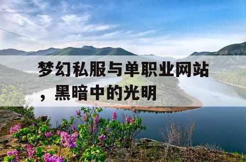 梦幻私服与单职业网站，黑暗中的光明