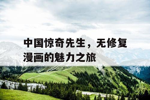 中国惊奇先生，无修复漫画的魅力之旅