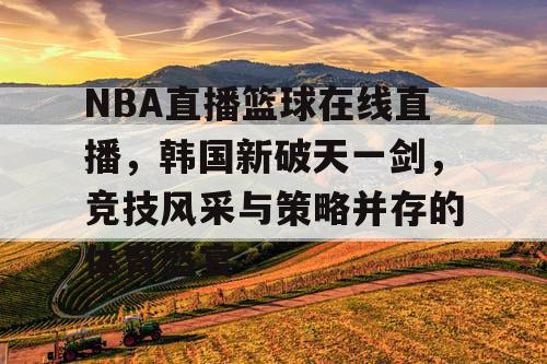 NBA直播篮球在线直播，韩国新破天一剑，竞技风采与策略并存的体育盛宴