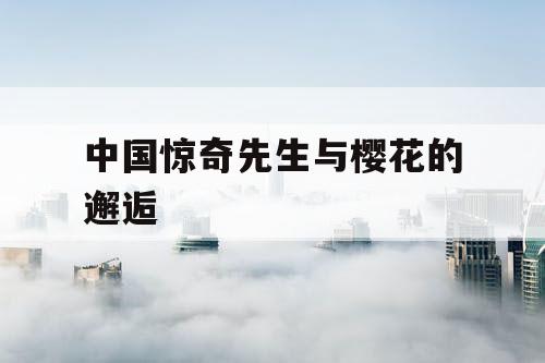 中国惊奇先生与樱花的邂逅