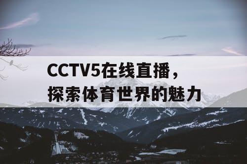 CCTV5在线直播，探索体育世界的魅力