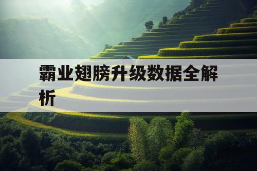 霸业翅膀升级数据全解析