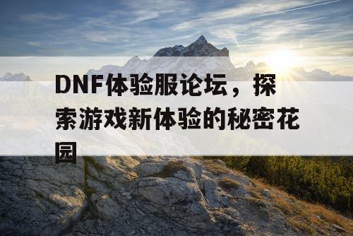 DNF体验服论坛，探索游戏新体验的秘密花园