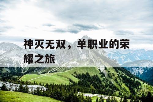 神灭无双，单职业的荣耀之旅