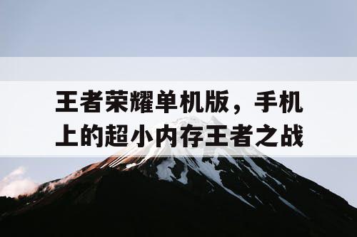 王者荣耀单机版，手机上的超小内存王者之战