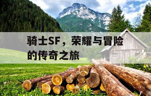 骑士SF，荣耀与冒险的传奇之旅