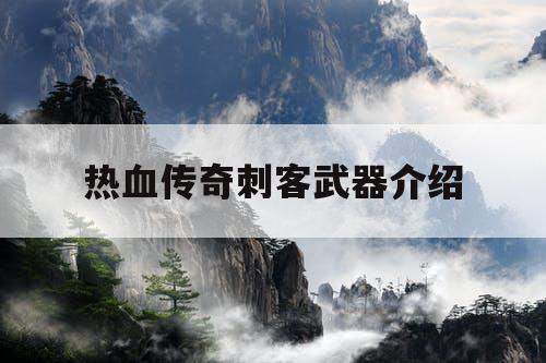 热血传奇刺客武器介绍