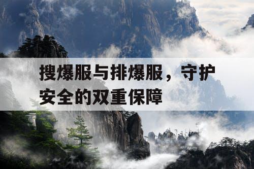 搜爆服与排爆服，守护安全的双重保障