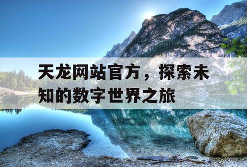 天龙网站官方，探索未知的数字世界之旅
