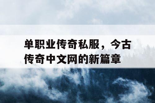 单职业传奇私服，今古传奇中文网的新篇章