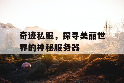 奇迹私服，探寻美丽世界的神秘服务器