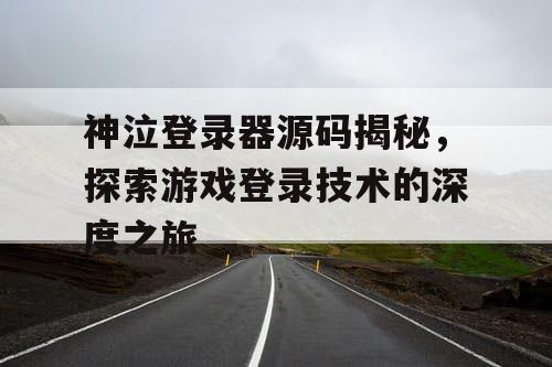 神泣登录器源码揭秘，探索游戏登录技术的深度之旅