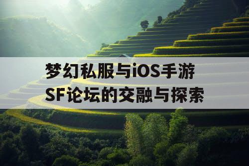 梦幻私服与iOS手游SF论坛的交融与探索