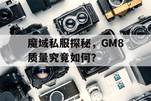 魔域私服探秘，GM8质量究竟如何？
