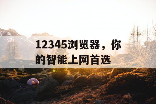 12345浏览器，你的智能上网首选