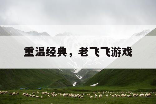 重温经典，老飞飞游戏